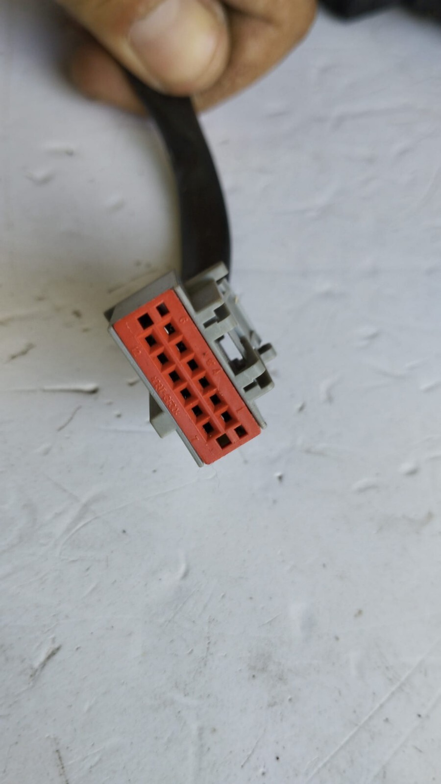Miniatura 7