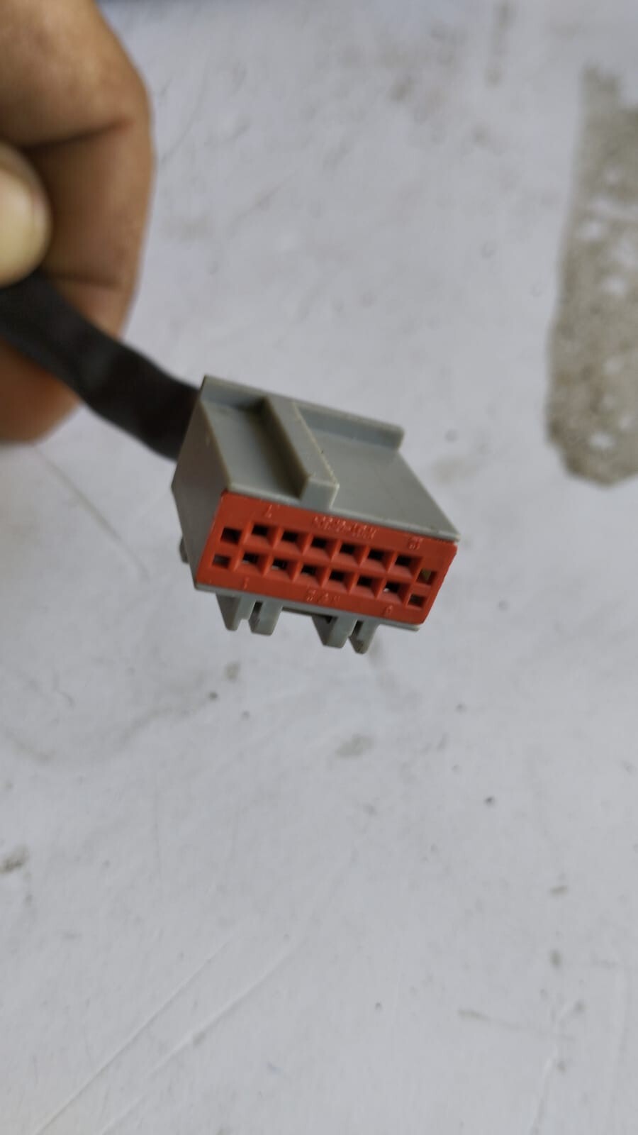 Miniatura 5
