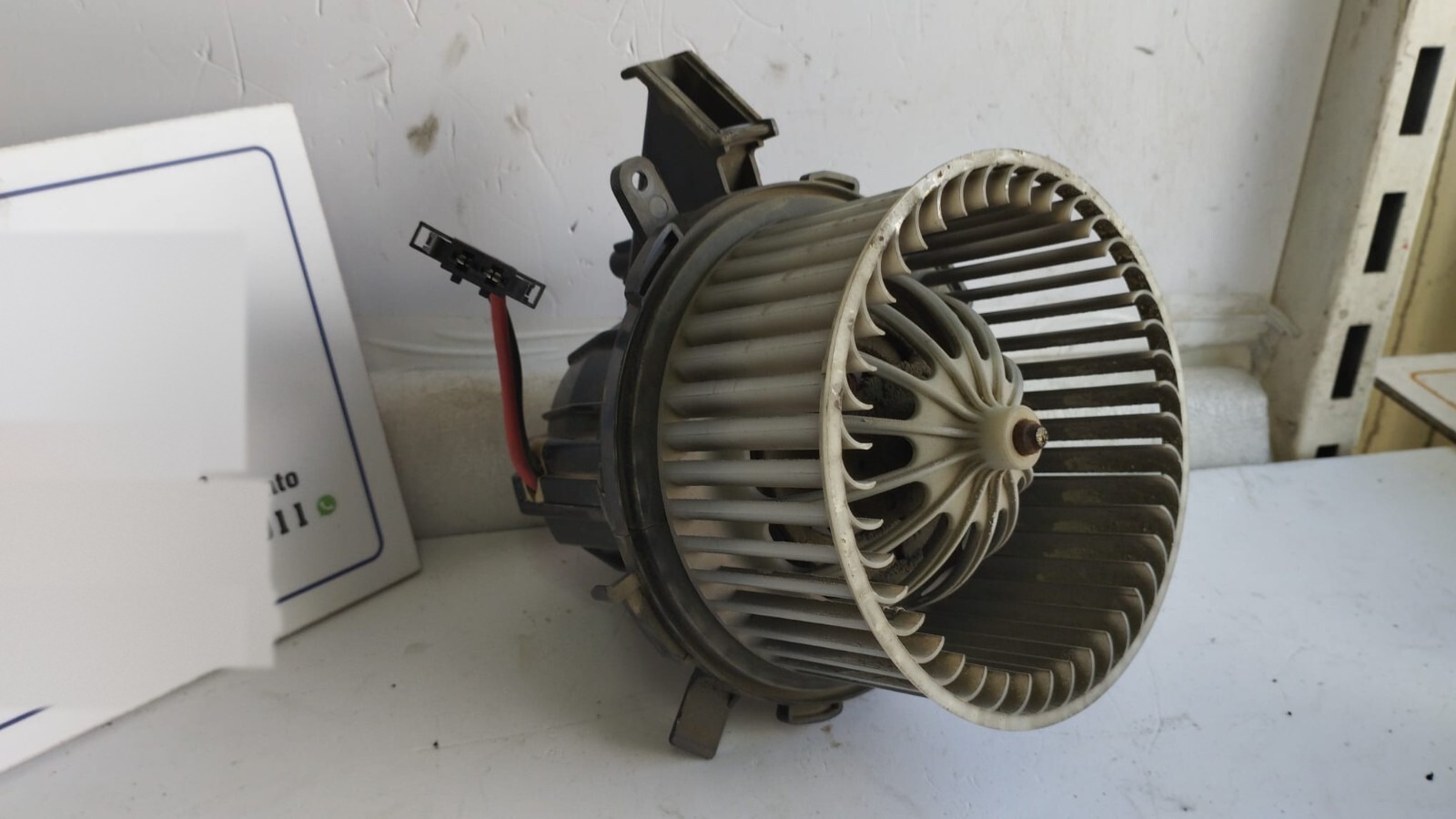 Miniatura 7
