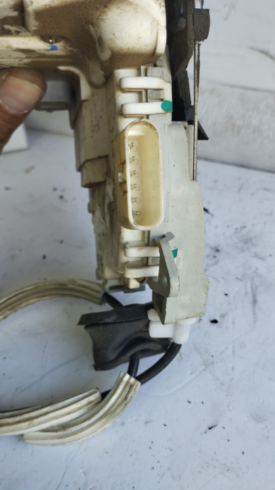 Miniatura 7