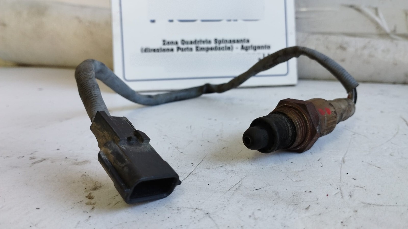 Miniatura 2