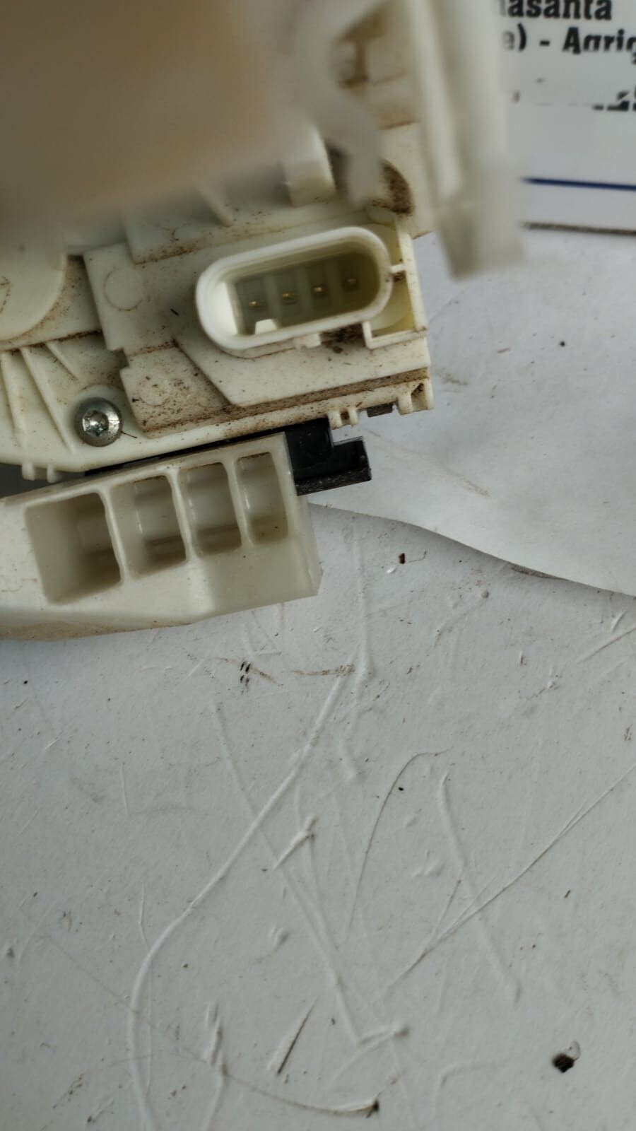 Miniatura 8