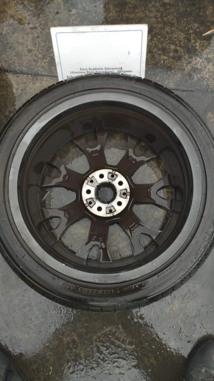 Miniatura 6