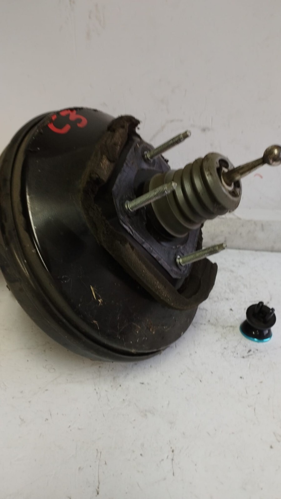 Miniatura 6