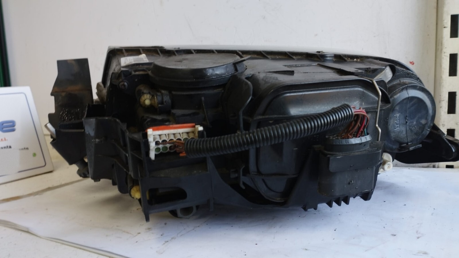 Miniatura 7