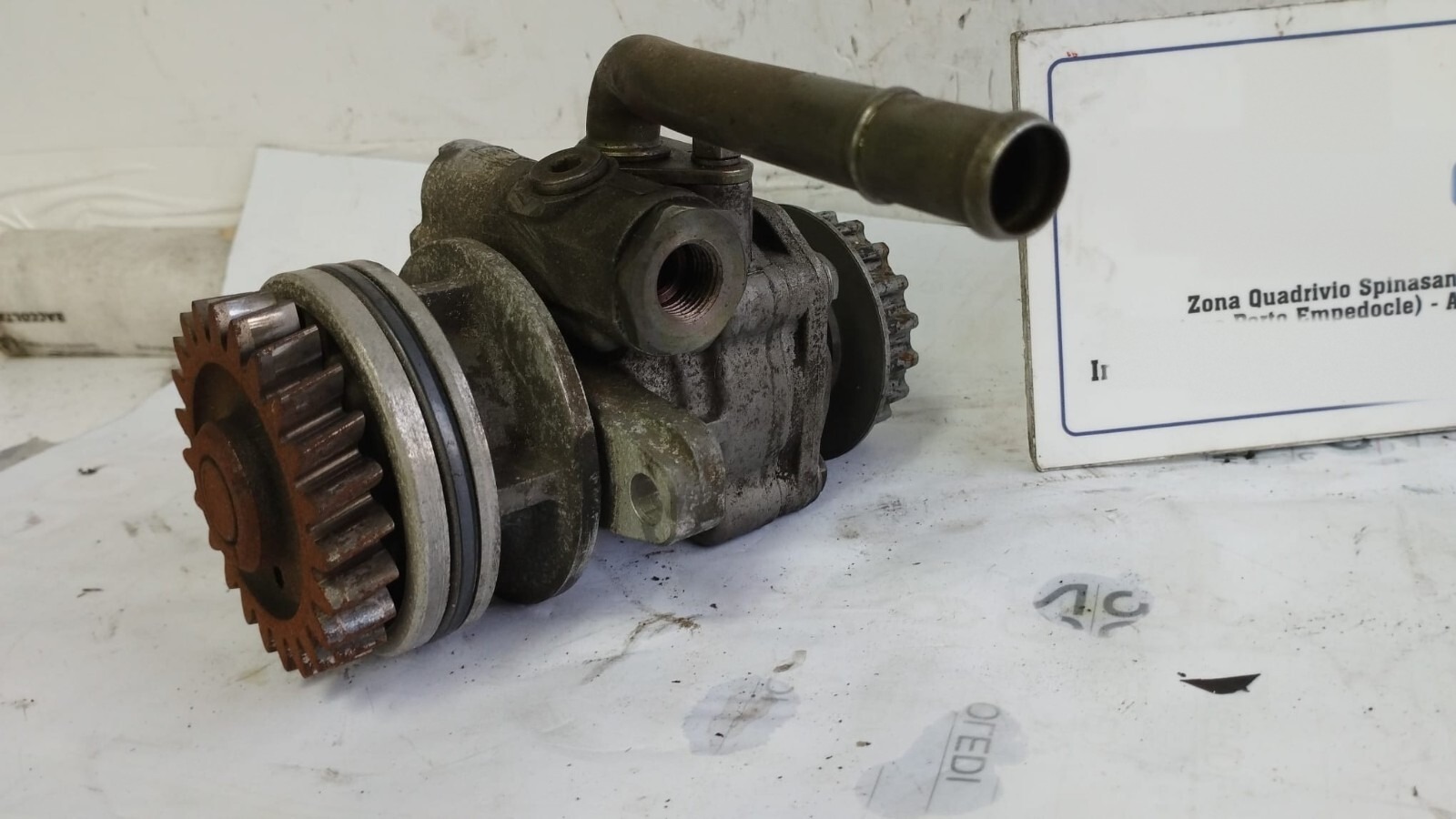 Miniatura 7