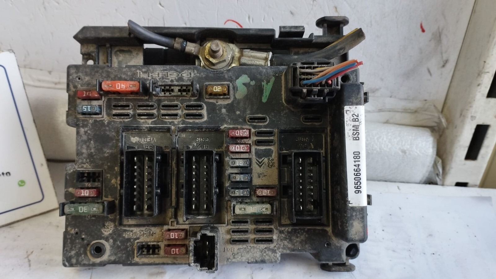 Miniatura 6