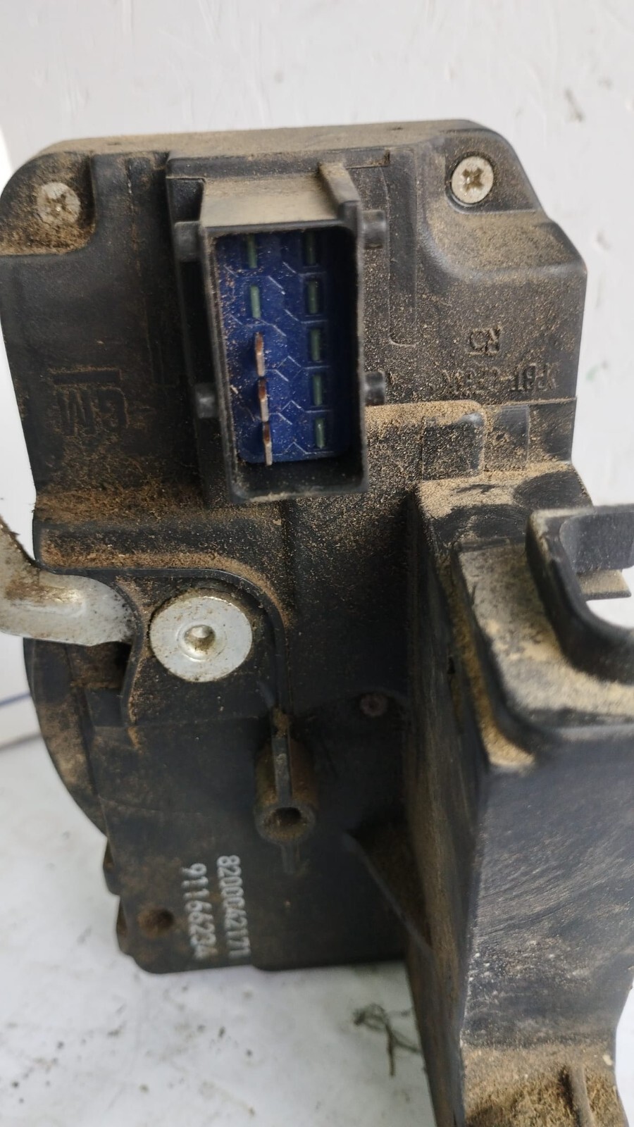 Miniatura 8