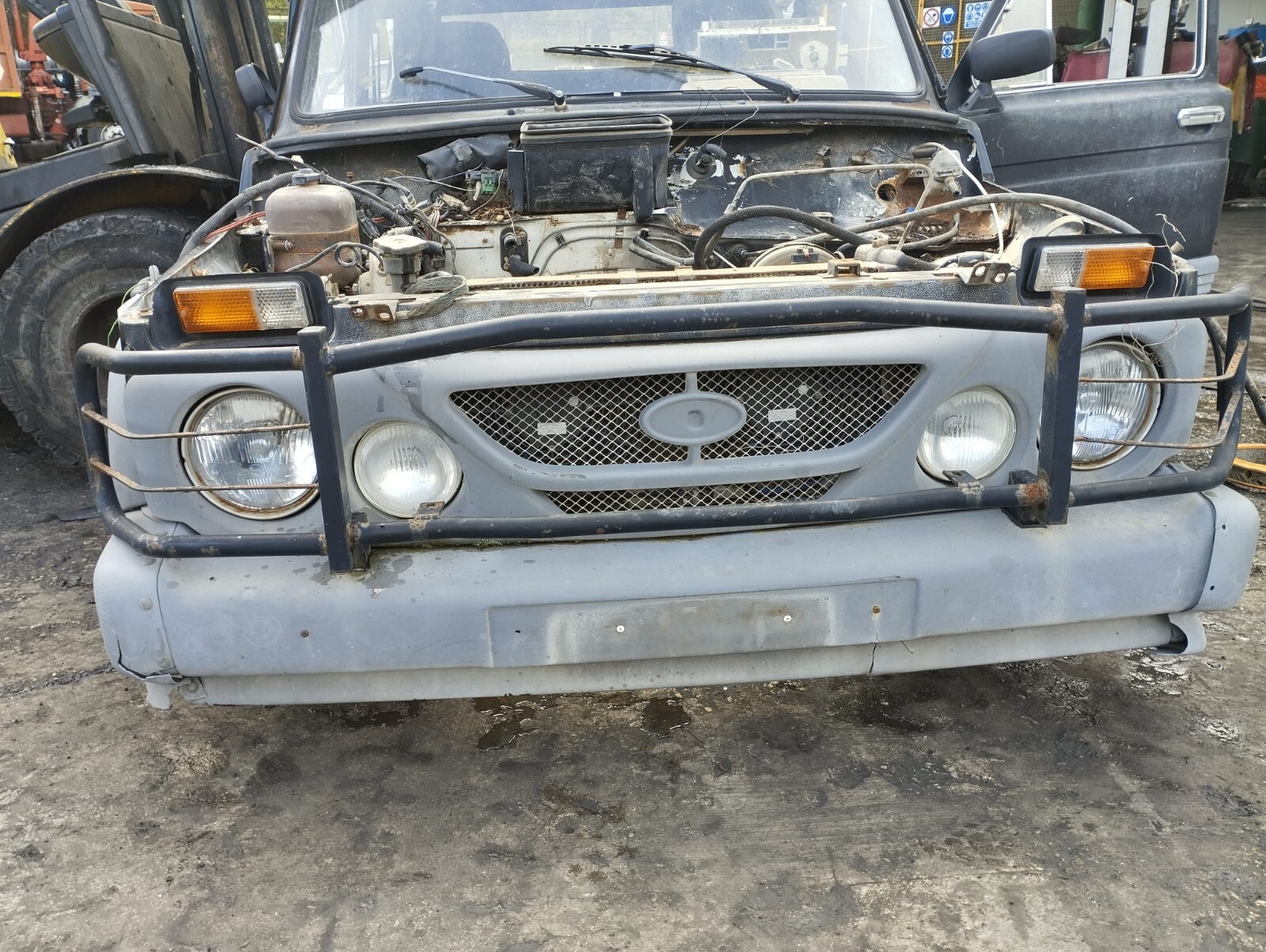 Miniatura 10