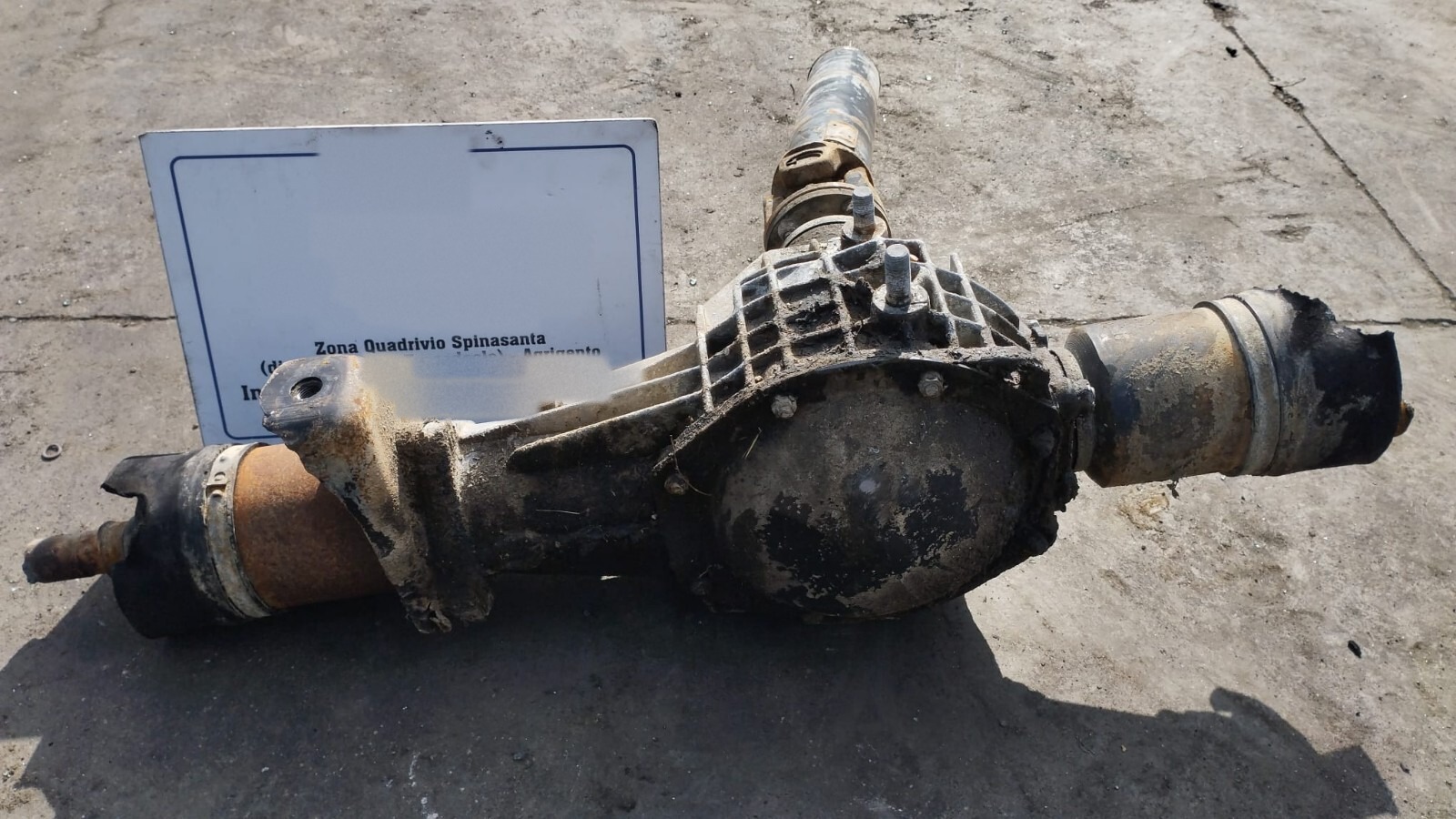 Miniatura 6