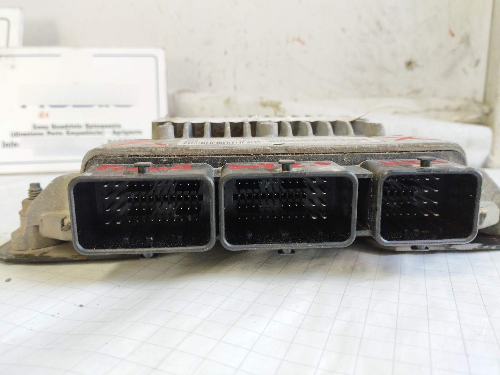 Miniatura 6