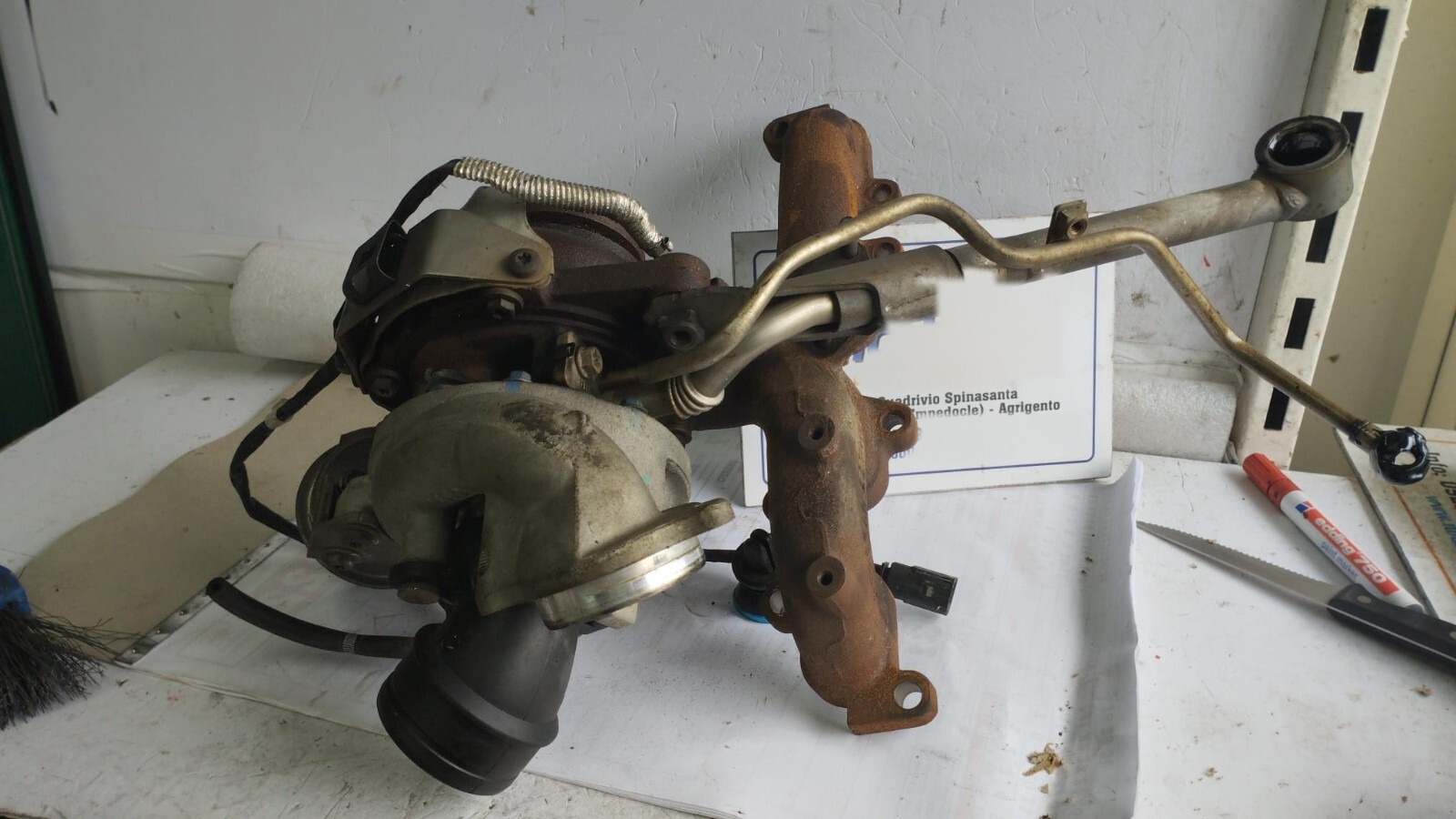 Miniatura 13