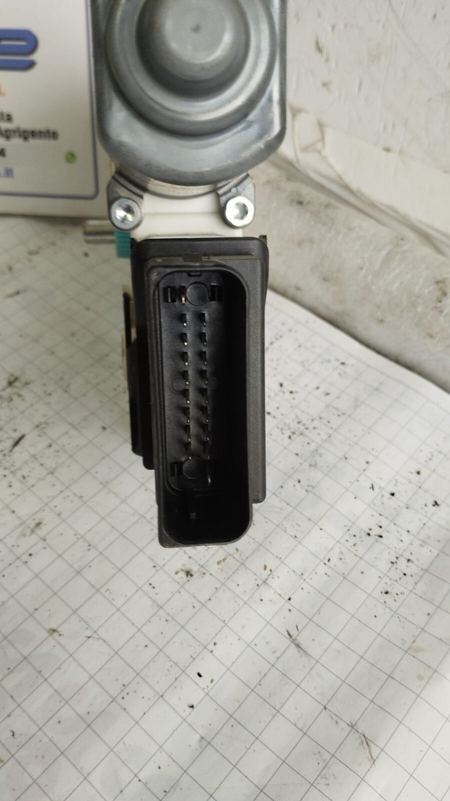Miniatura 5