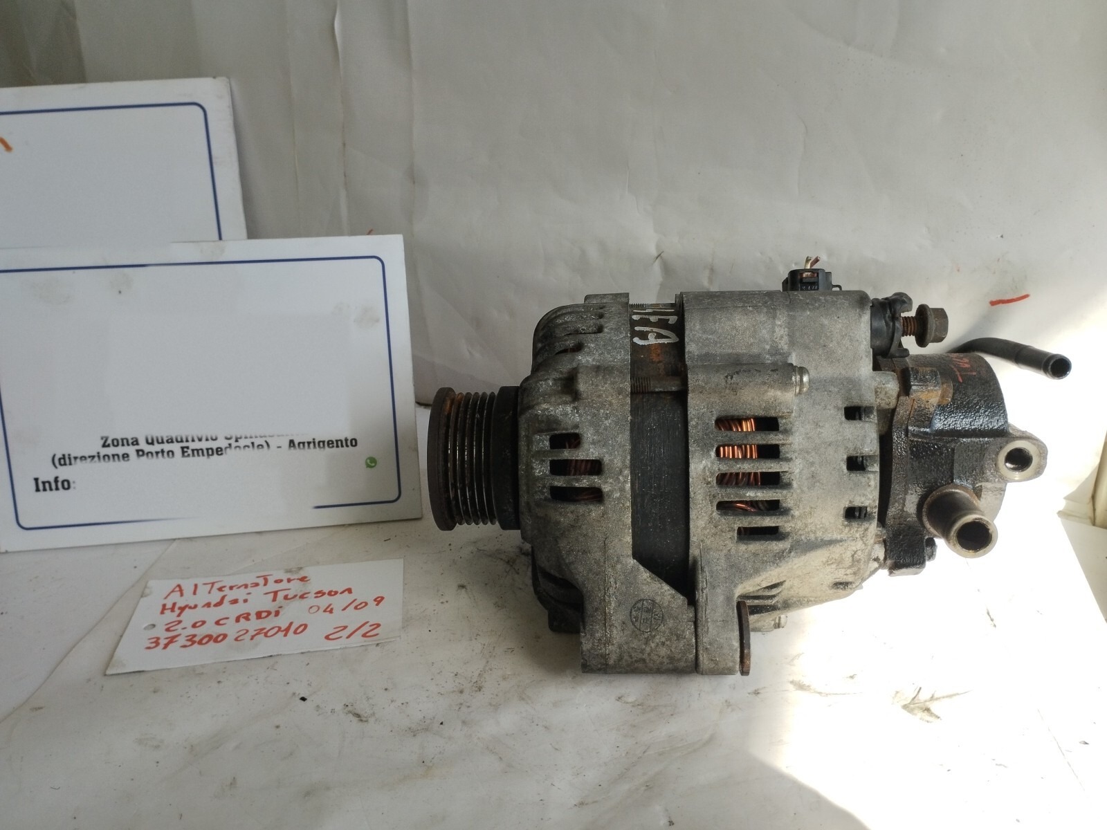 Miniatura 6