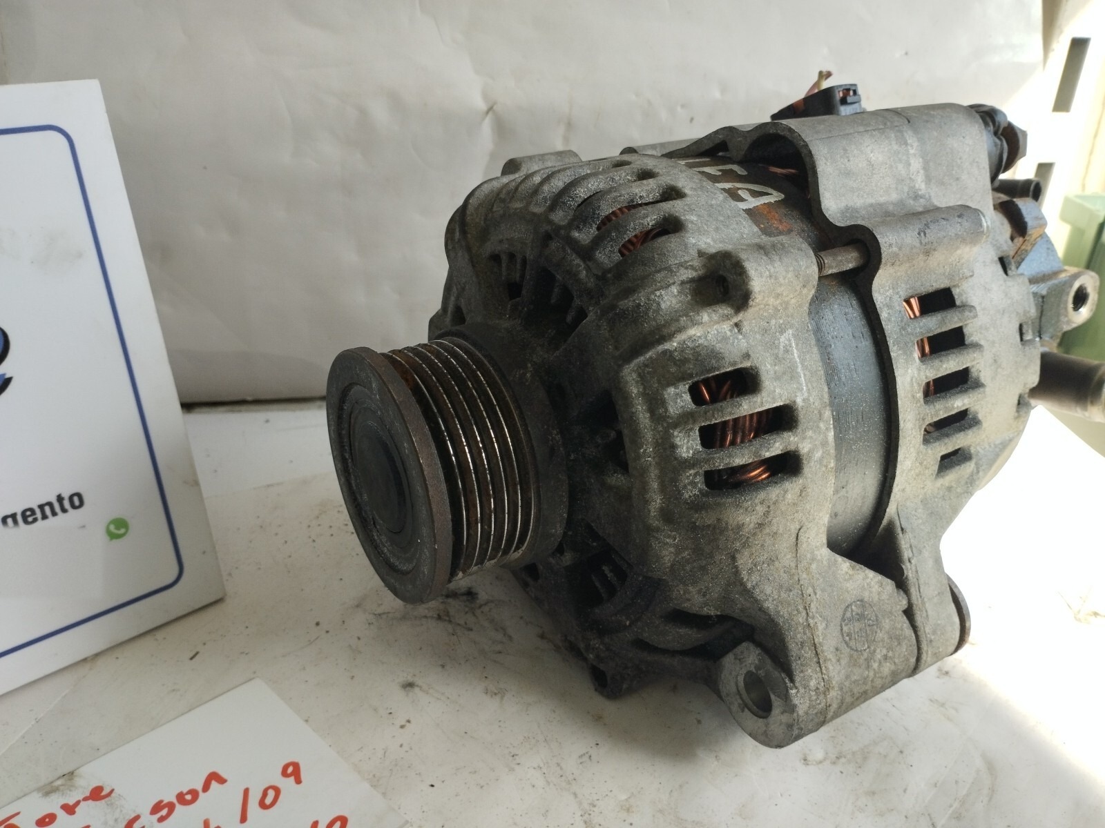 Miniatura 8