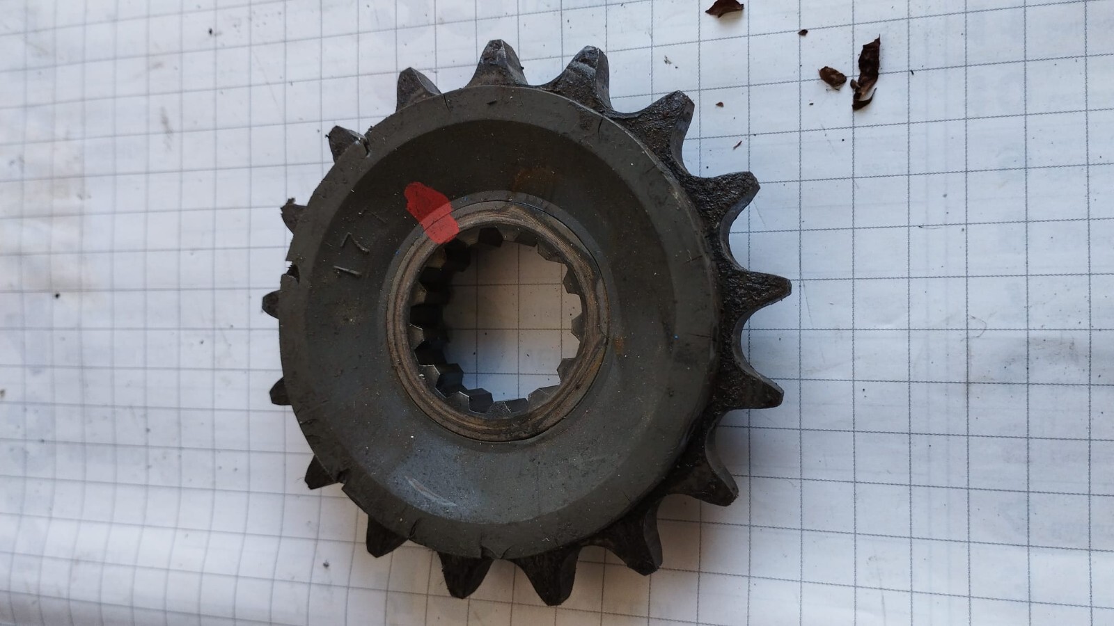 Miniatura 6