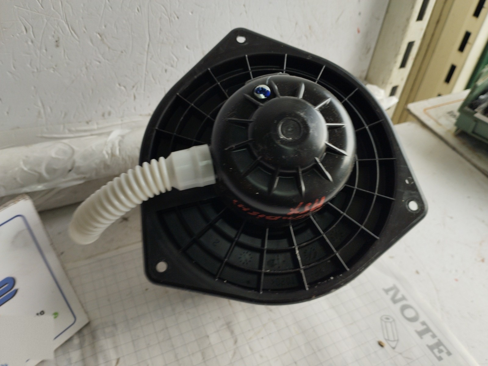 Miniatura 6