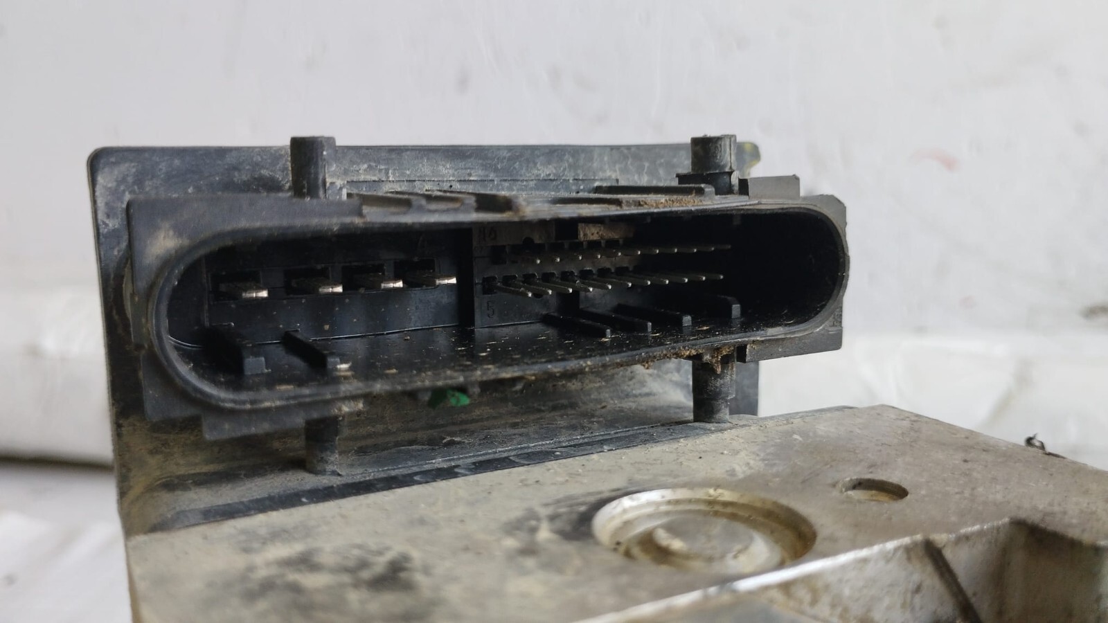 Miniatura 8