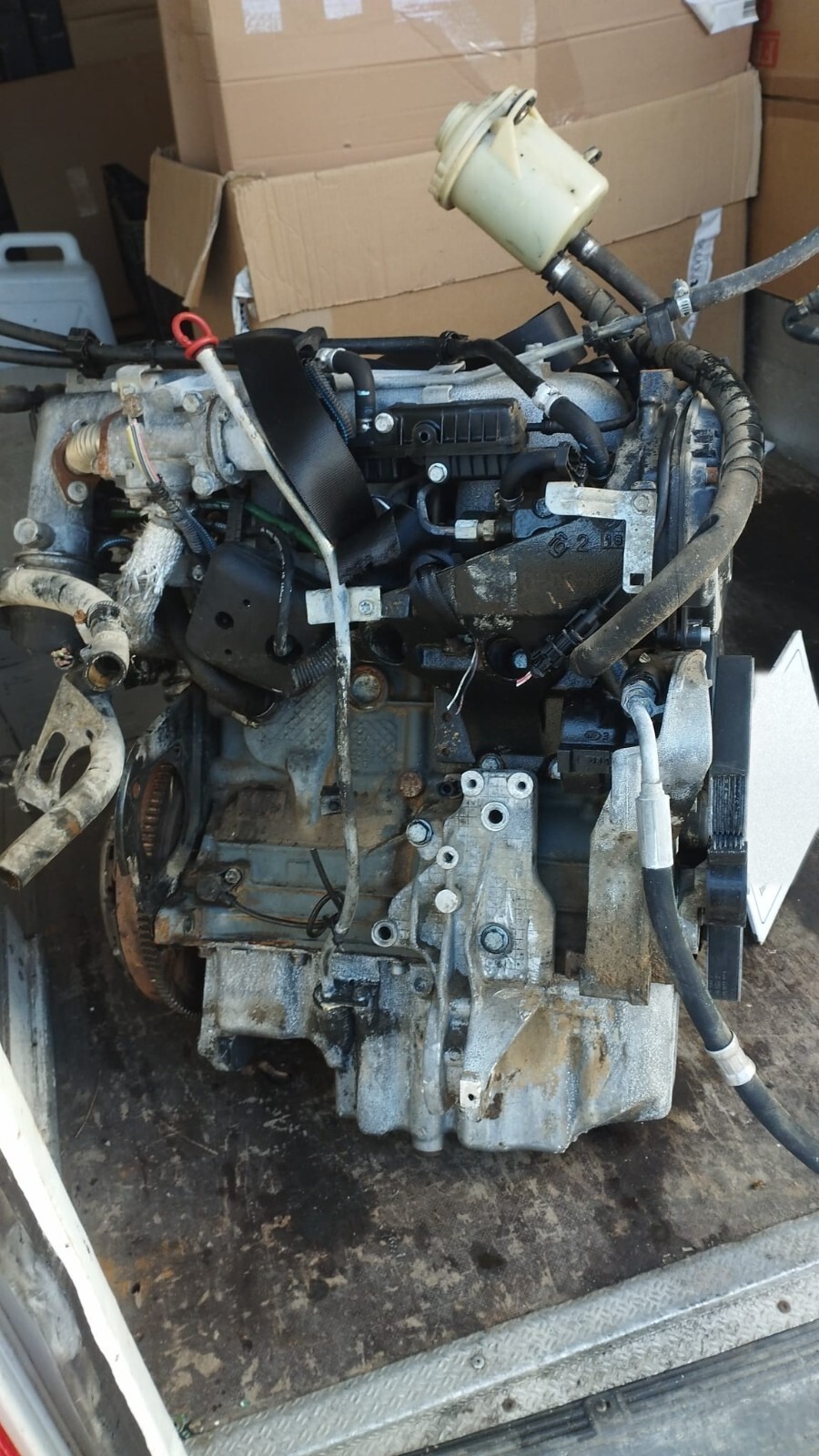 Miniatura 8