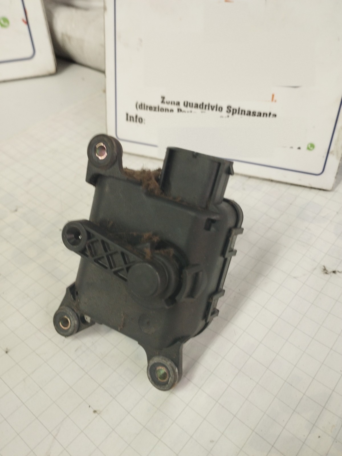 Miniatura 6