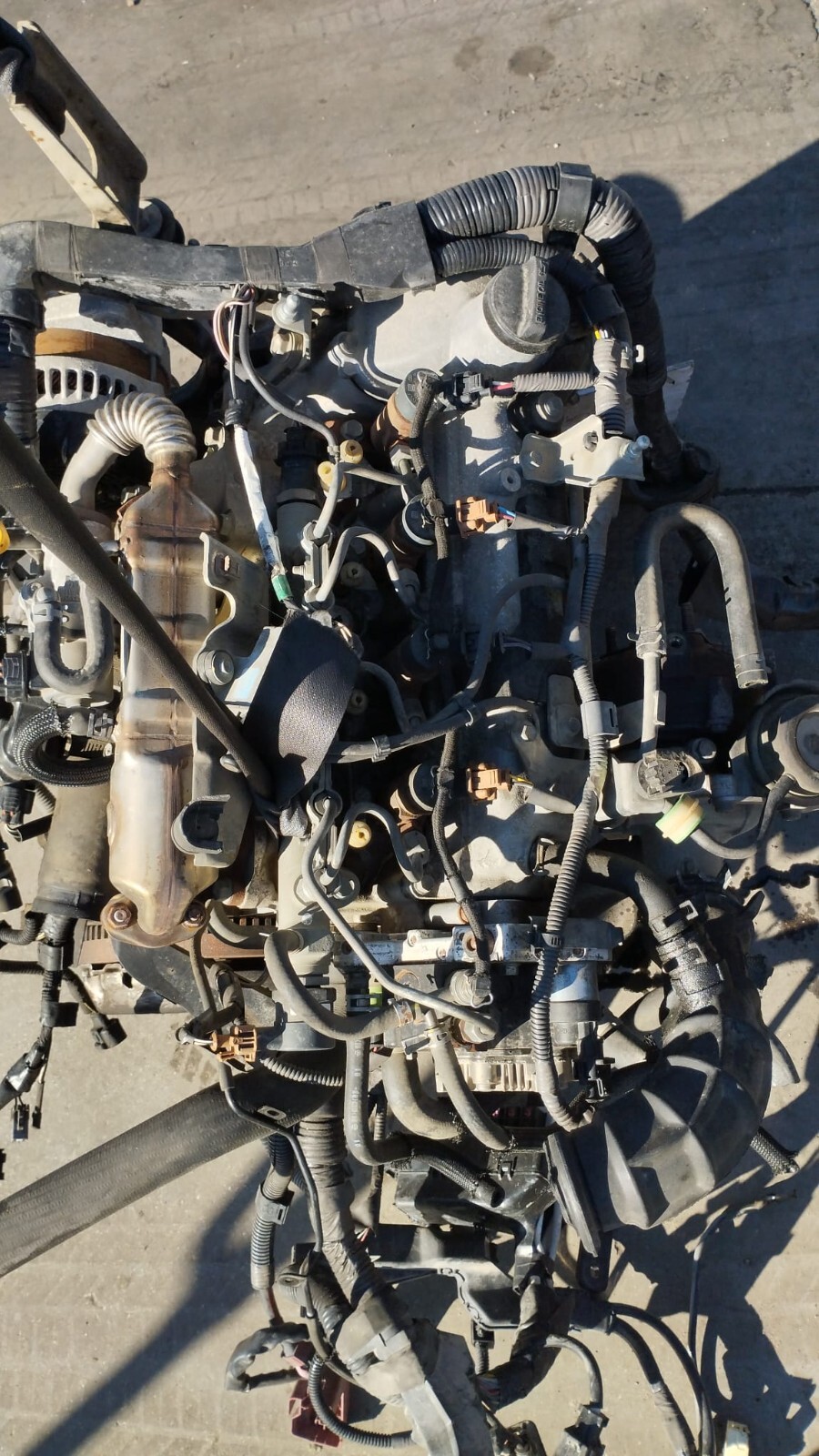 Miniatura 13