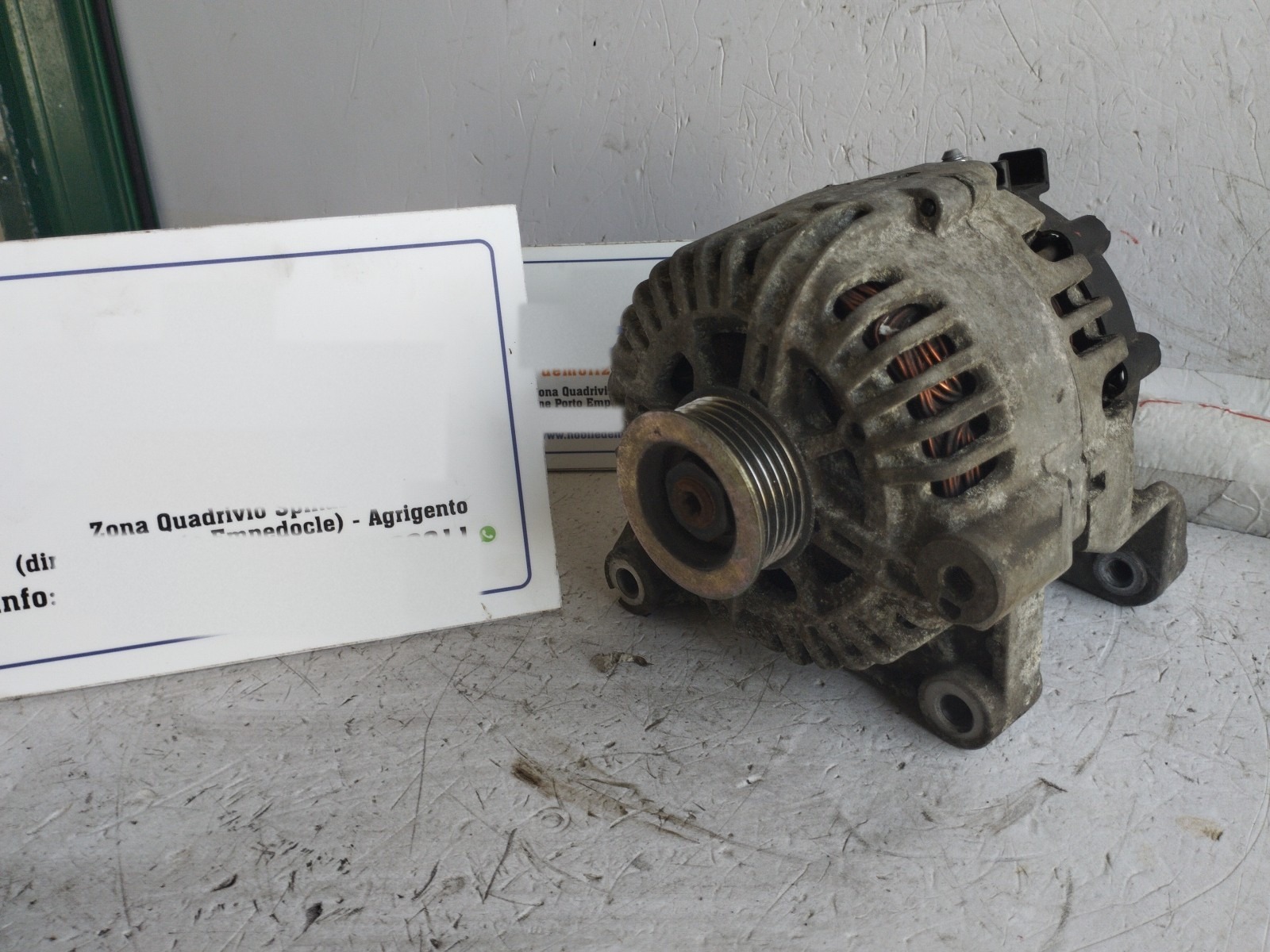 Miniatura 12
