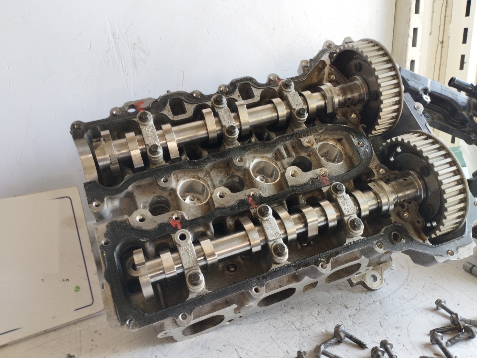 Miniatura 7