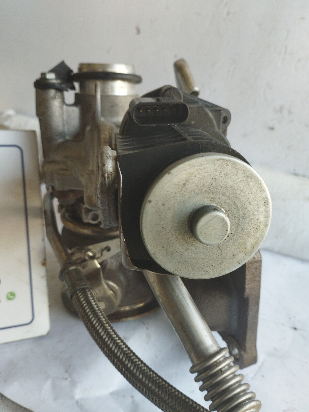 Miniatura 11