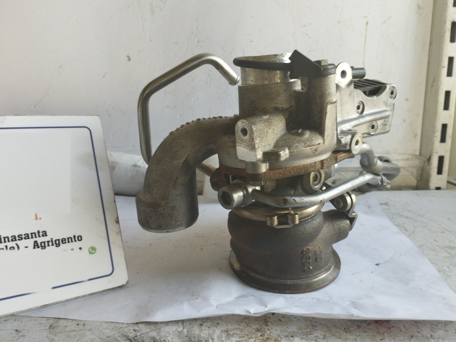 Miniatura 15