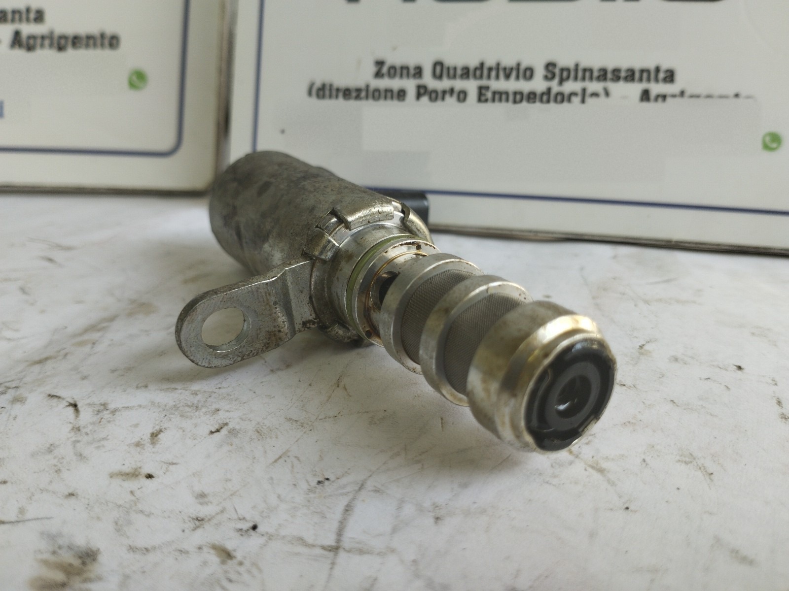 Miniatura 6