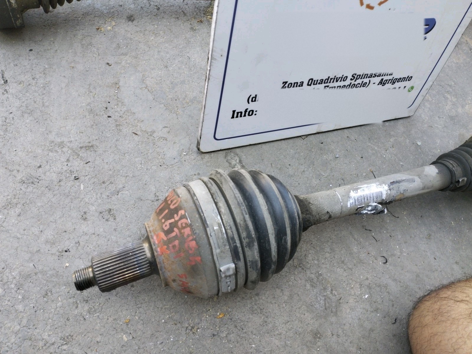Miniatura 2