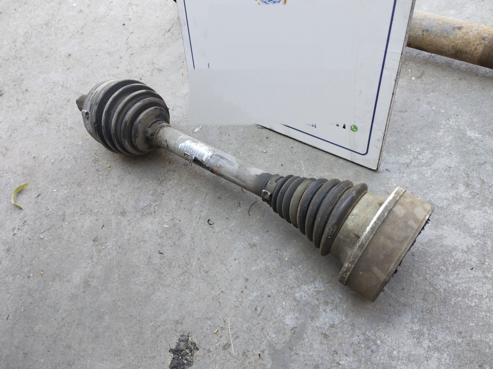 Miniatura 7