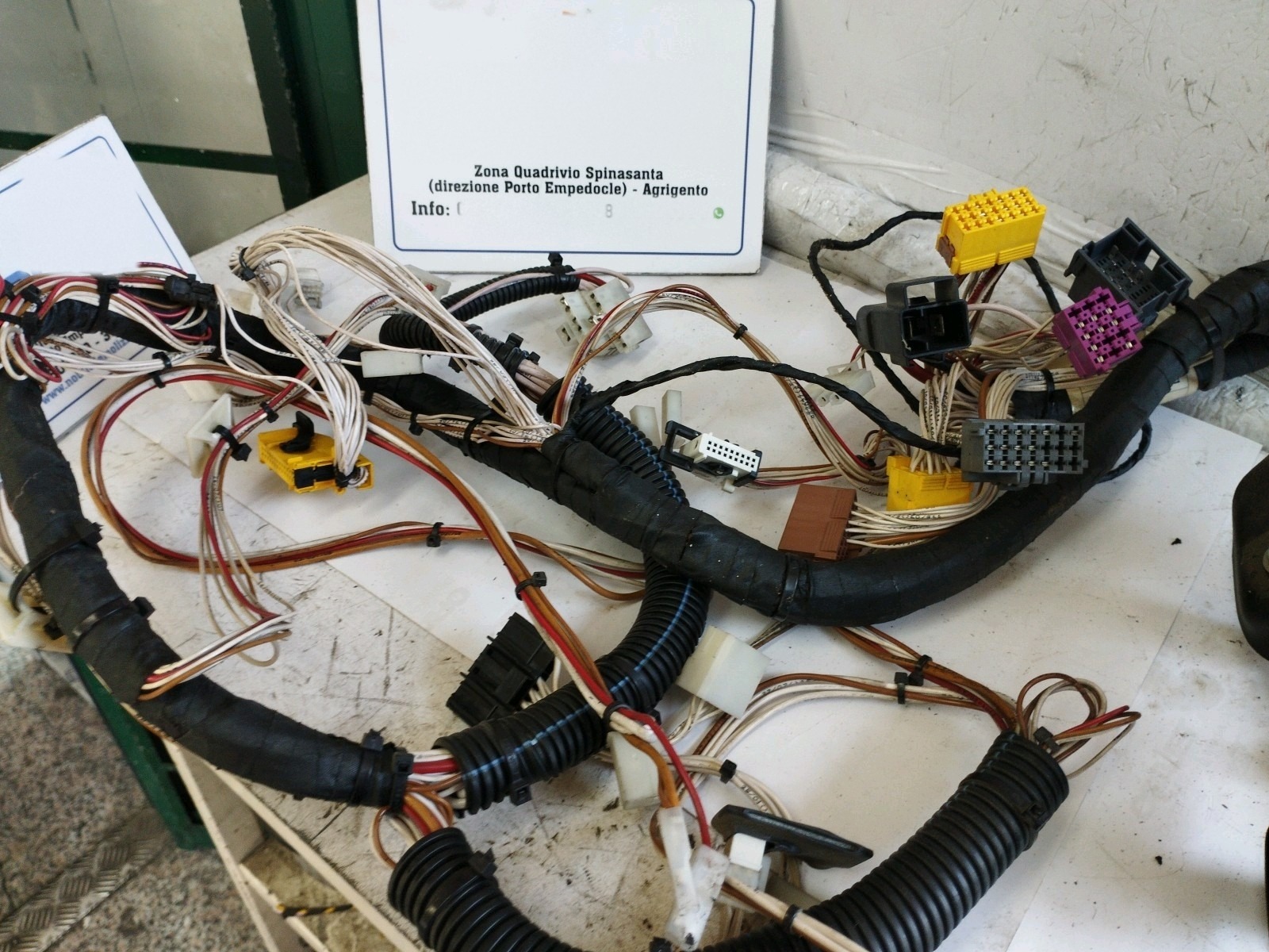 Miniatura 13