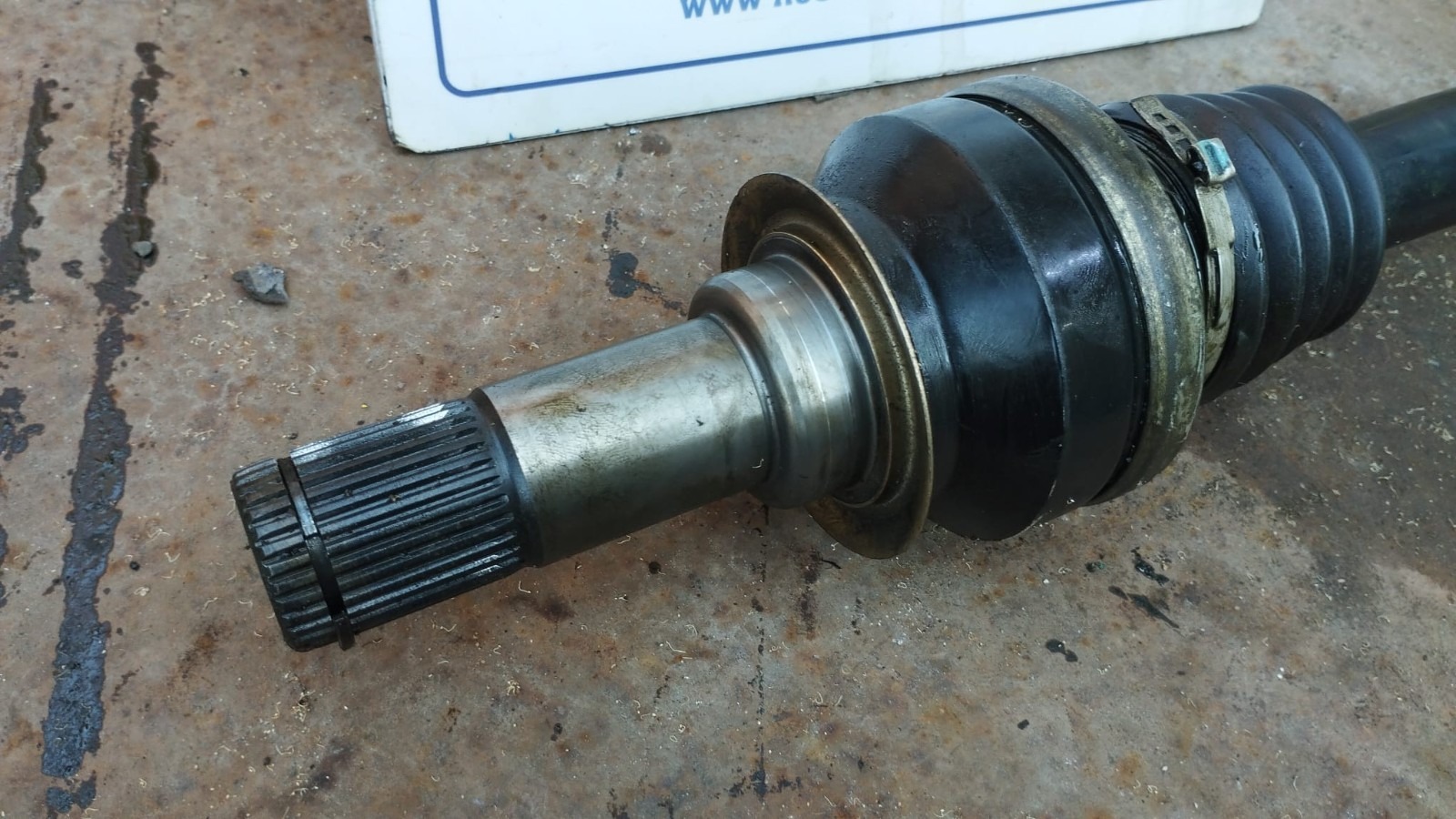 Miniatura 5