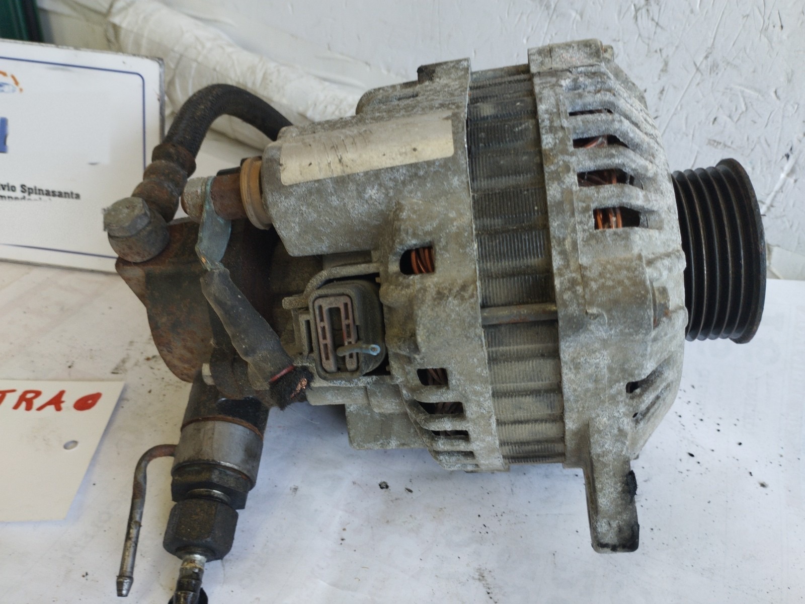 Miniatura 5