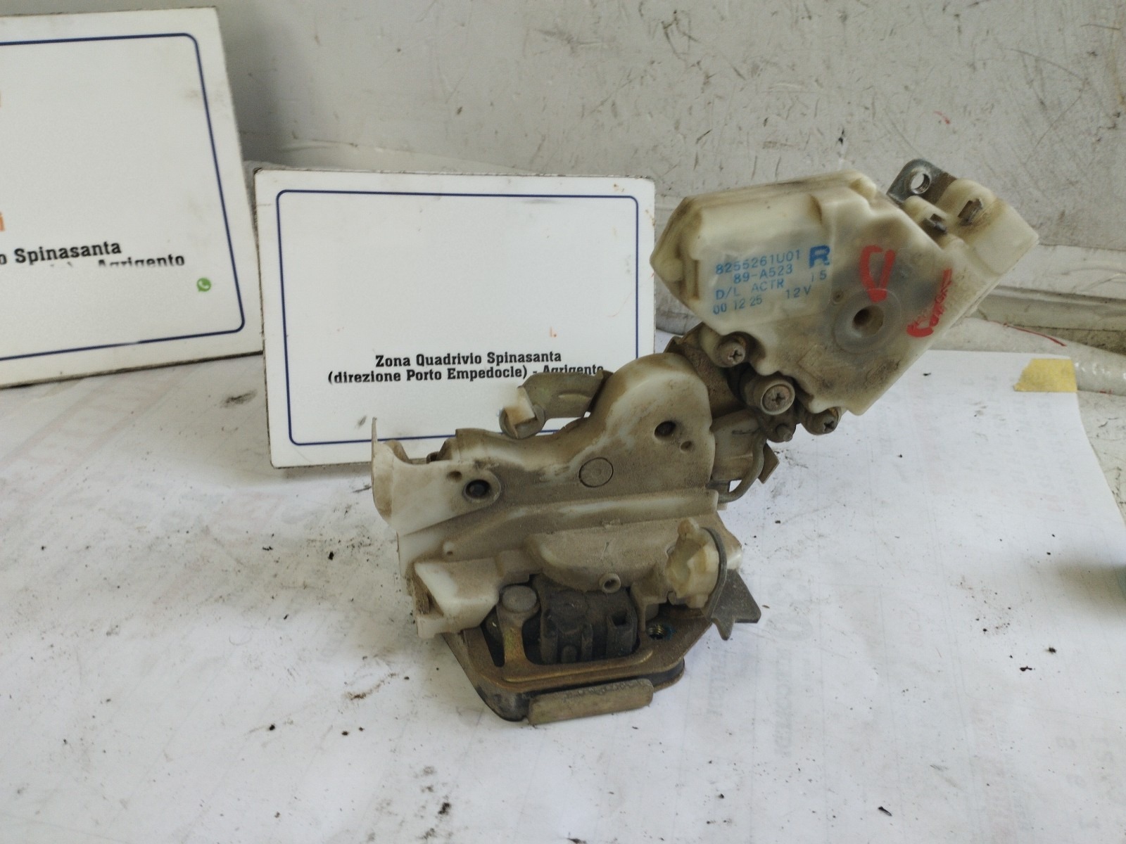 Miniatura 9