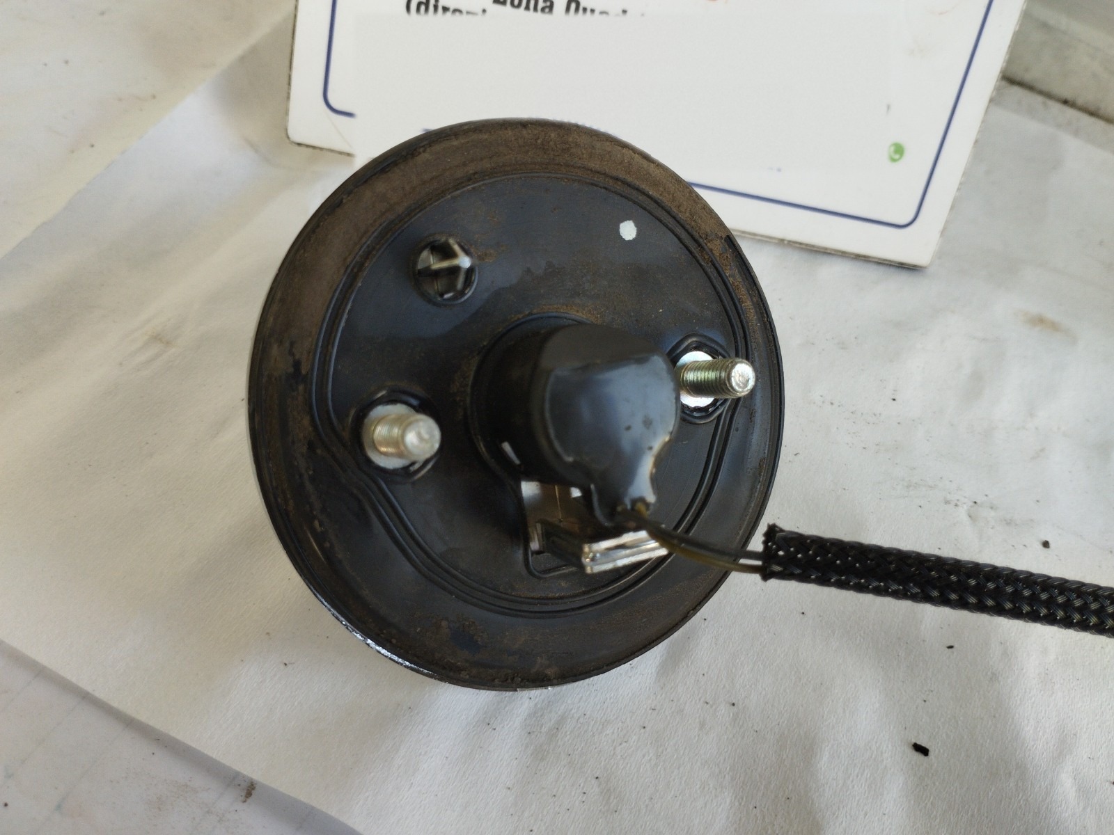 Miniatura 6