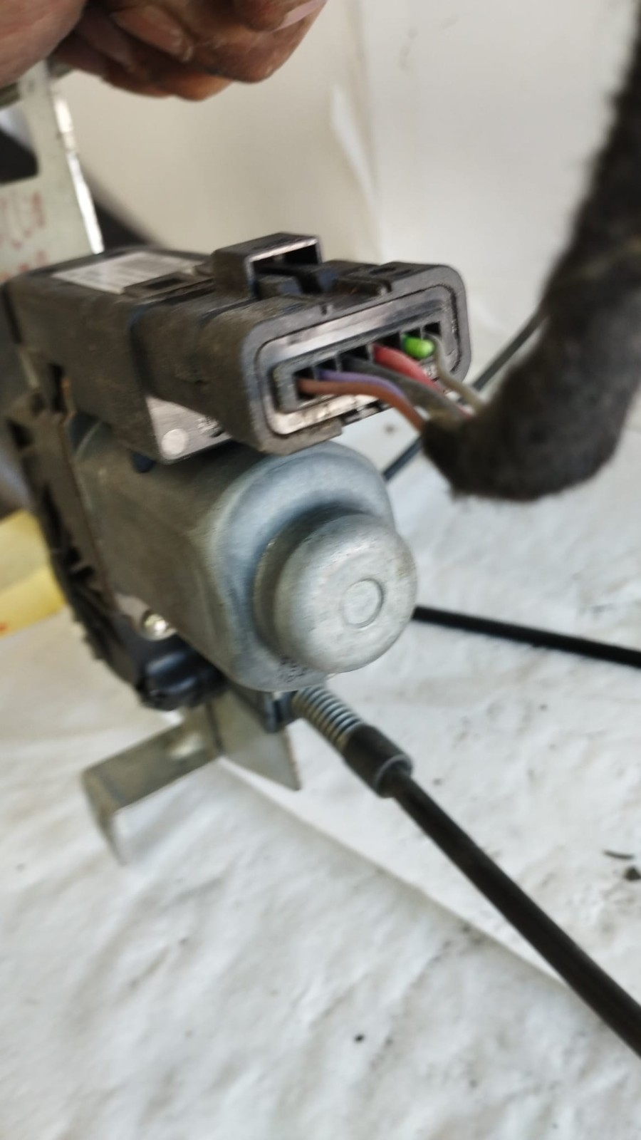Miniatura 8