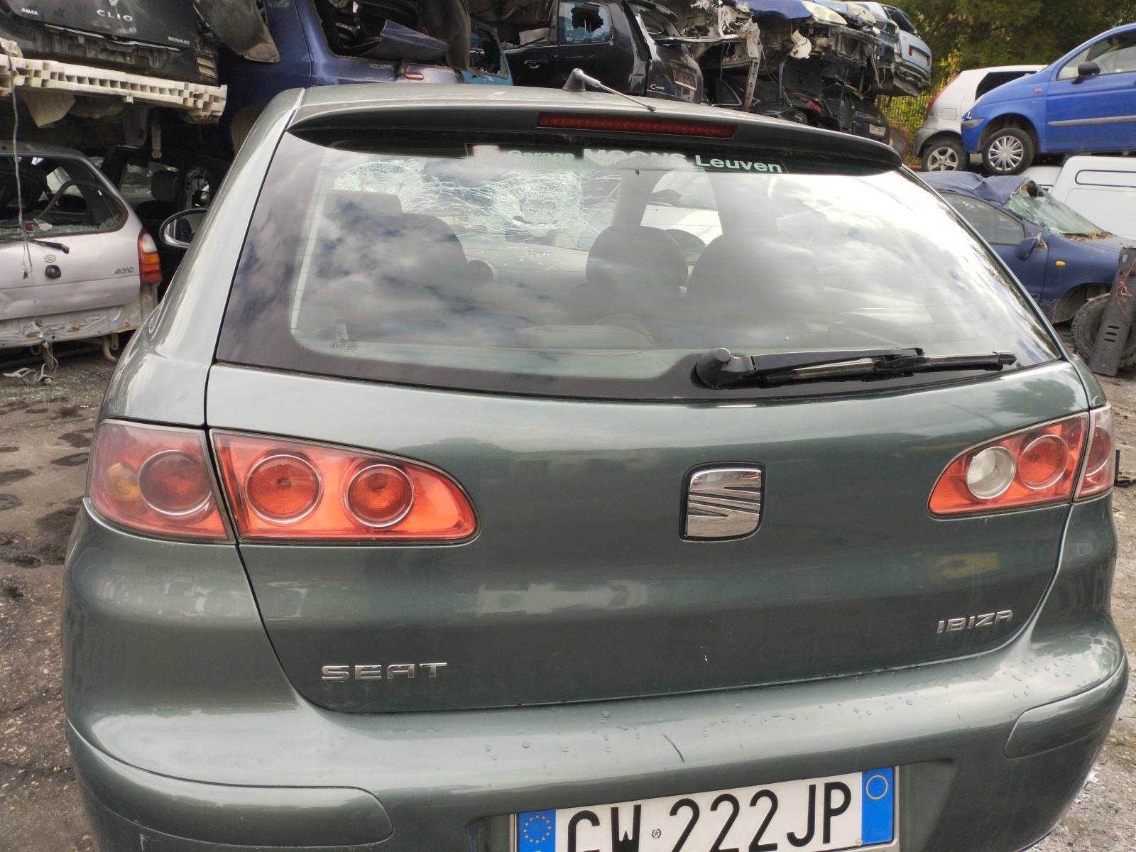 Miniatura 10