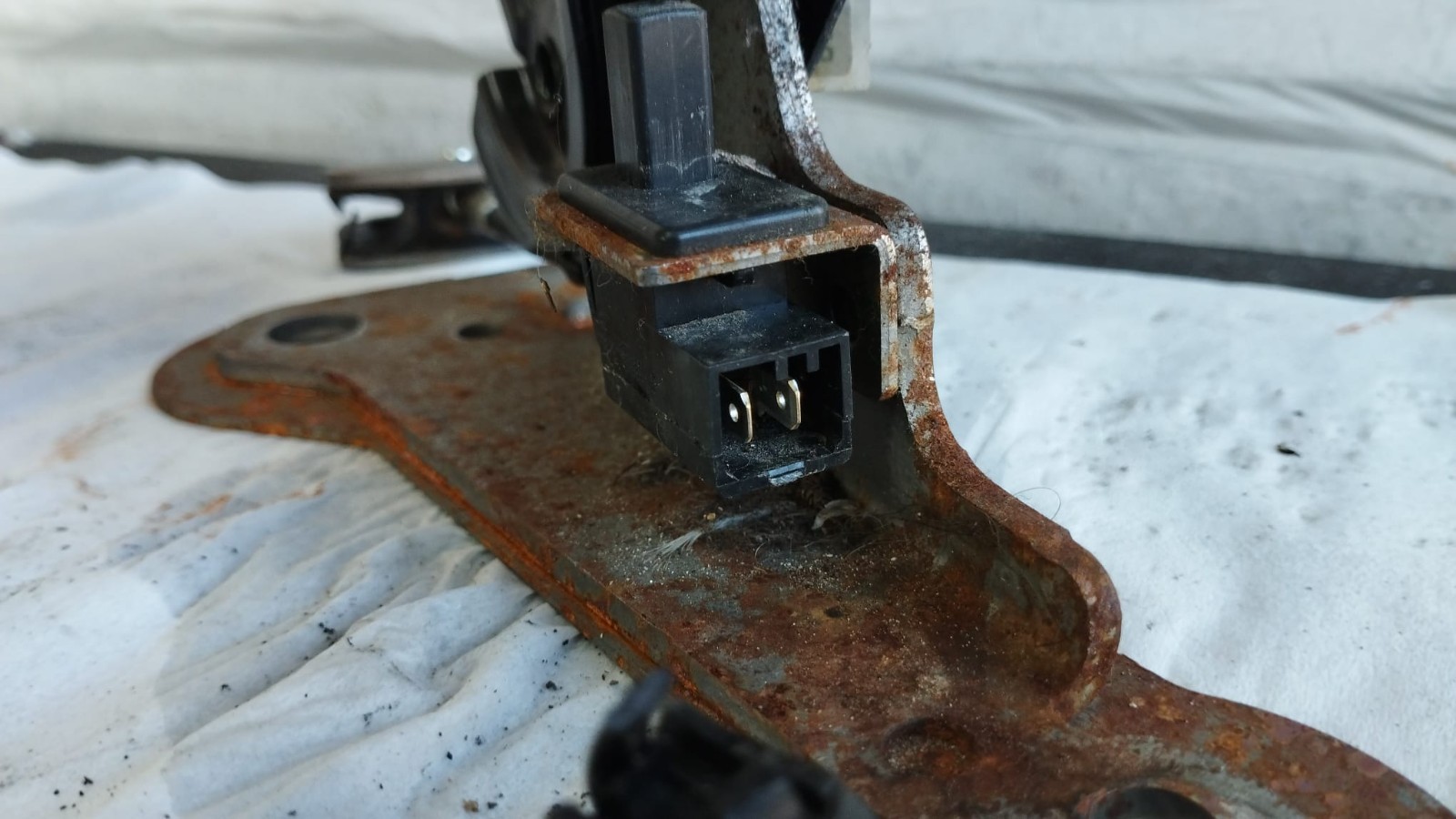 Miniatura 9