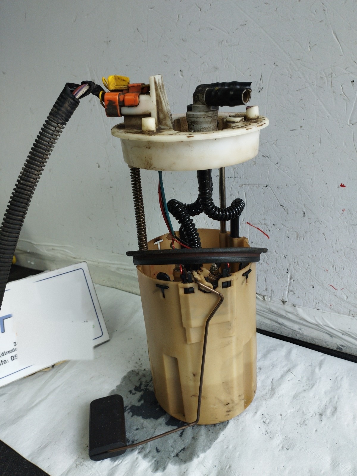 Miniatura 7