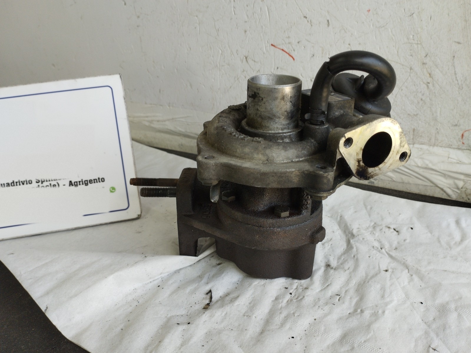 Miniatura 11