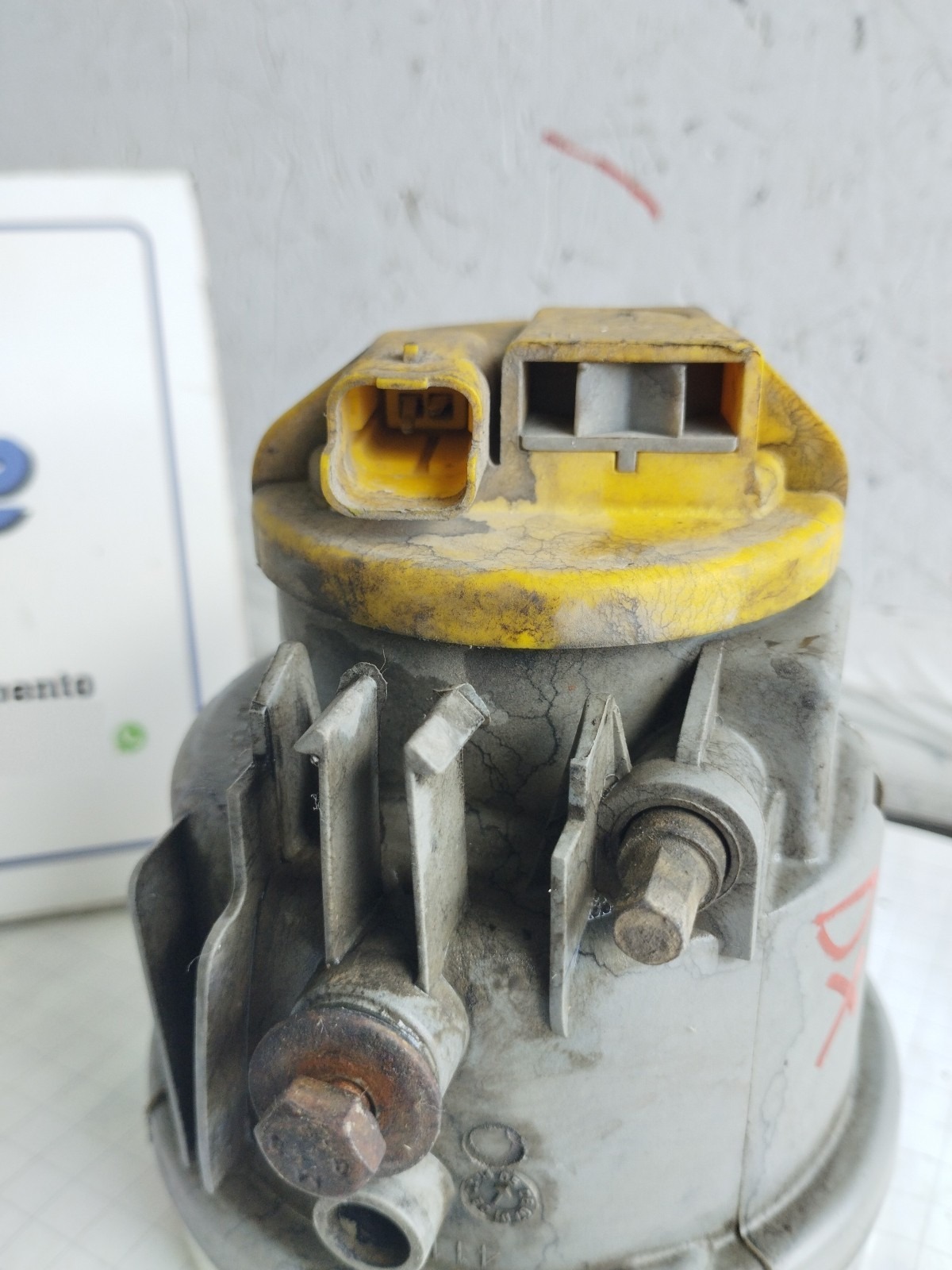 Miniatura 10
