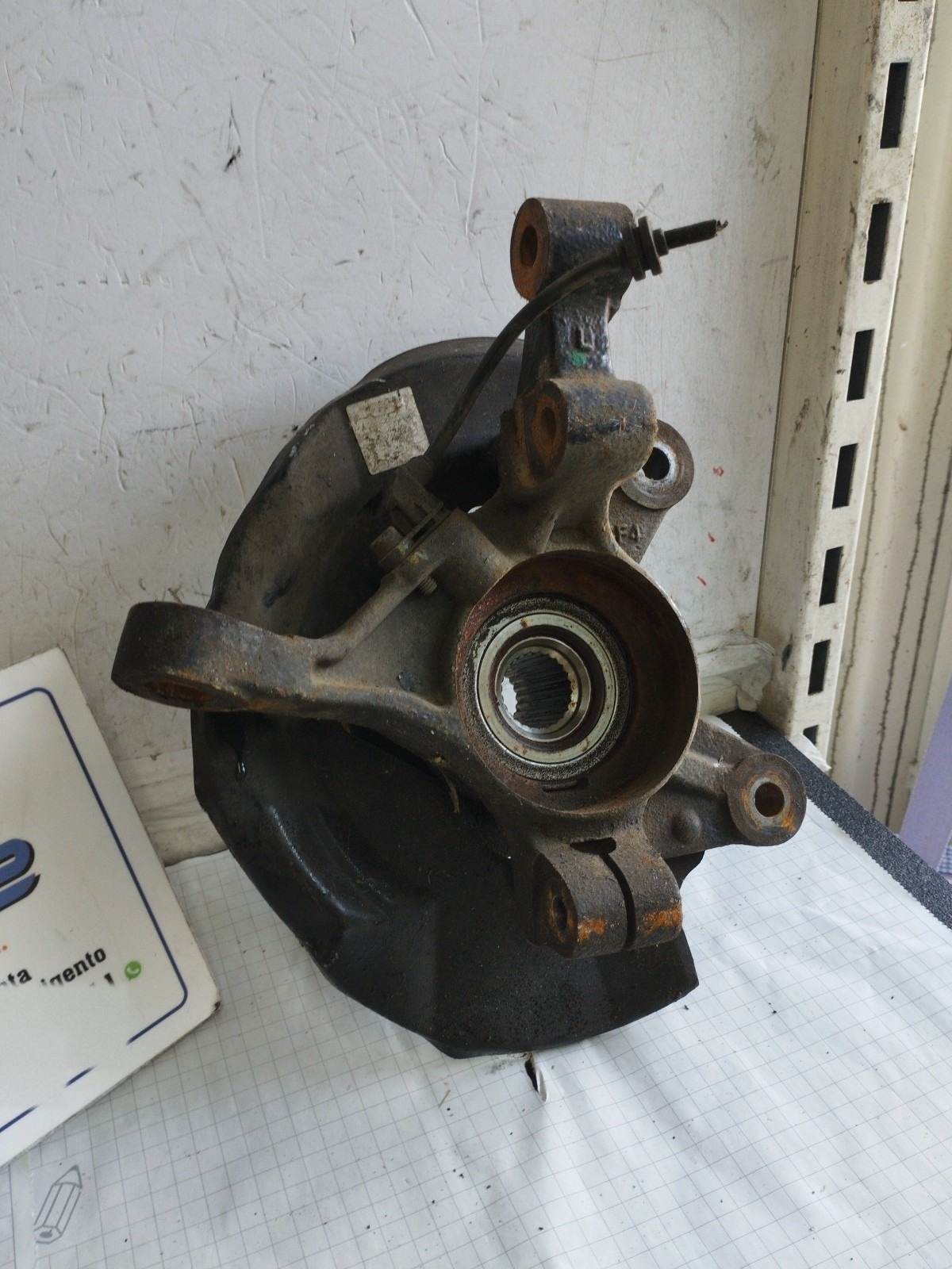 Miniatura 6