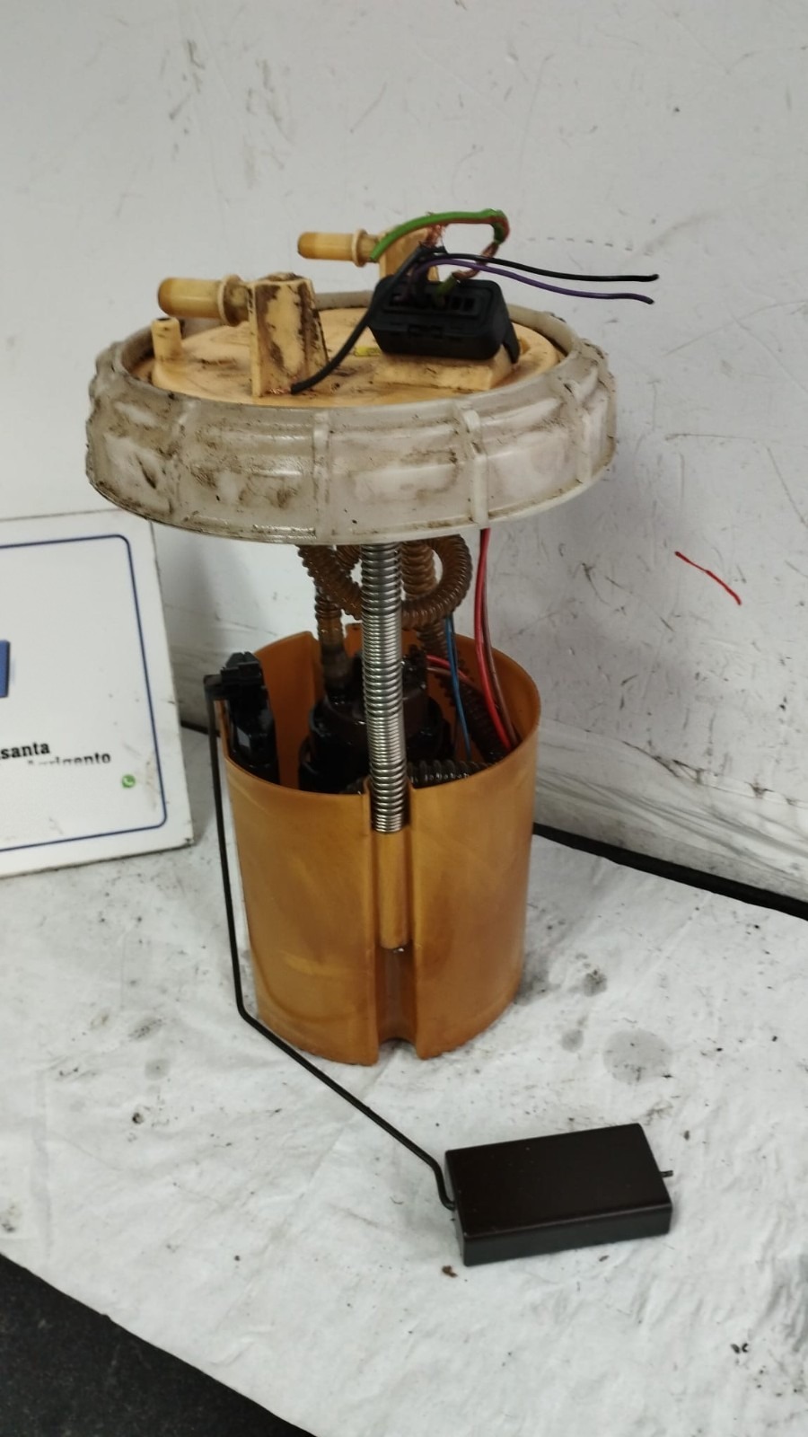 Miniatura 7