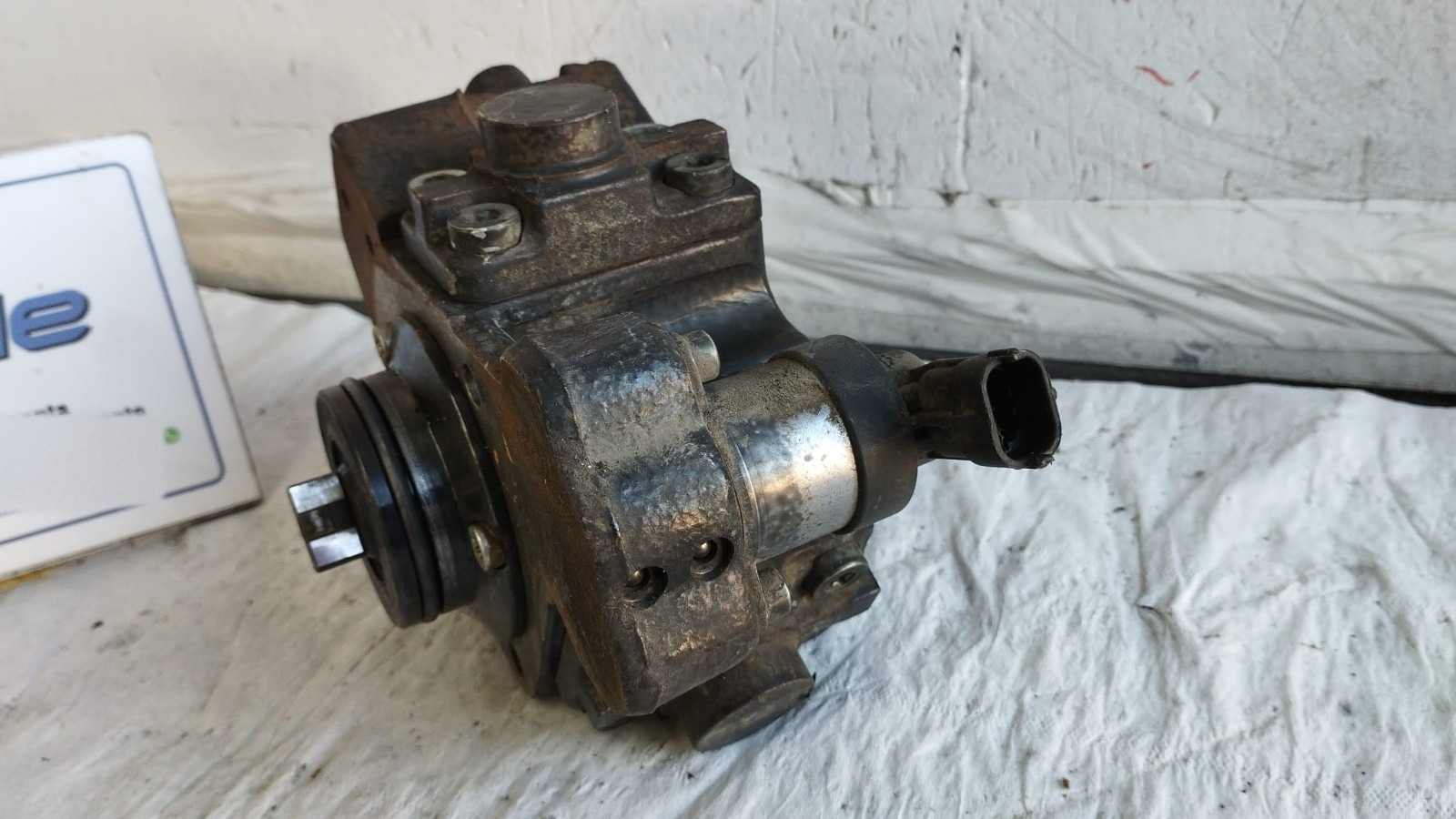 Miniatura 7