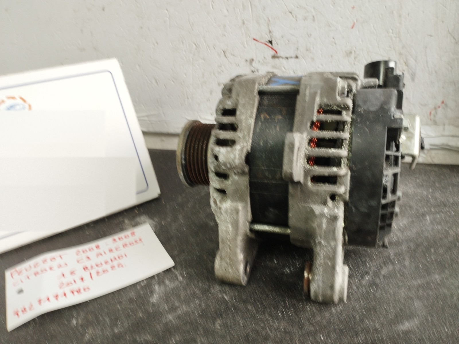 Miniatura 8