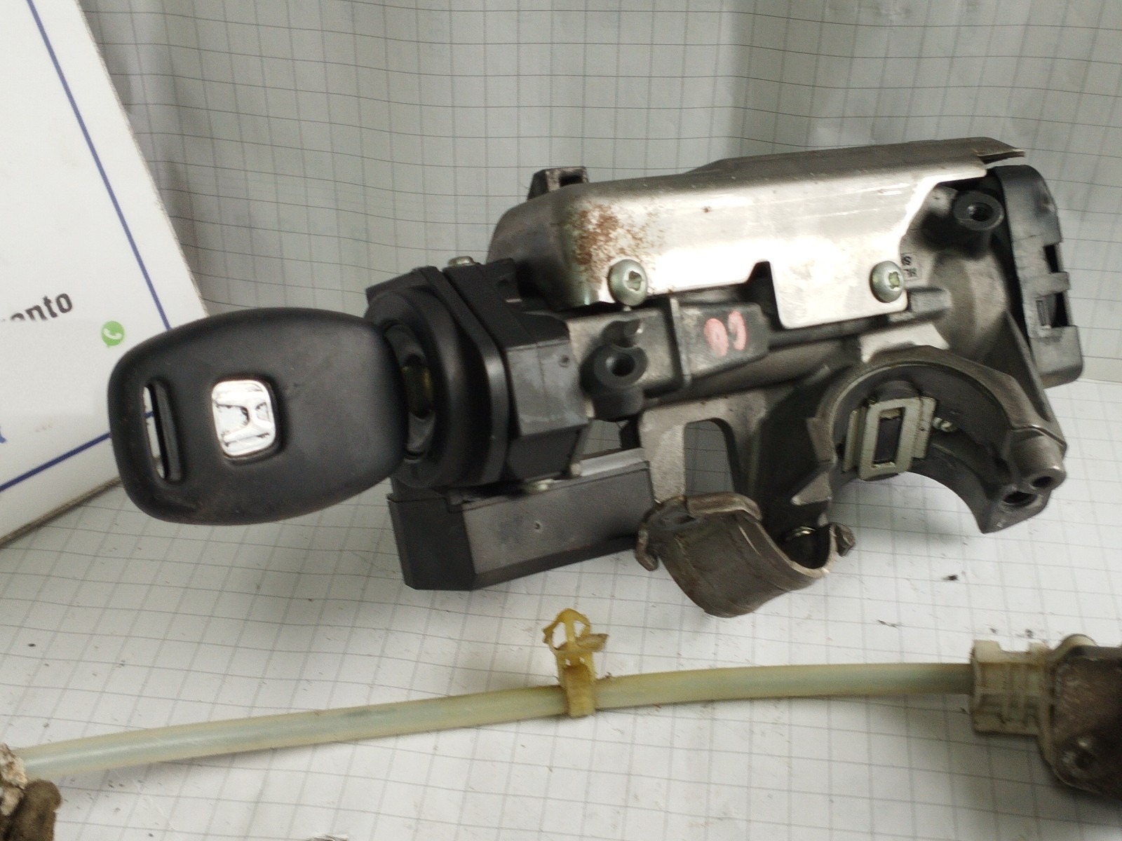 Miniatura 12