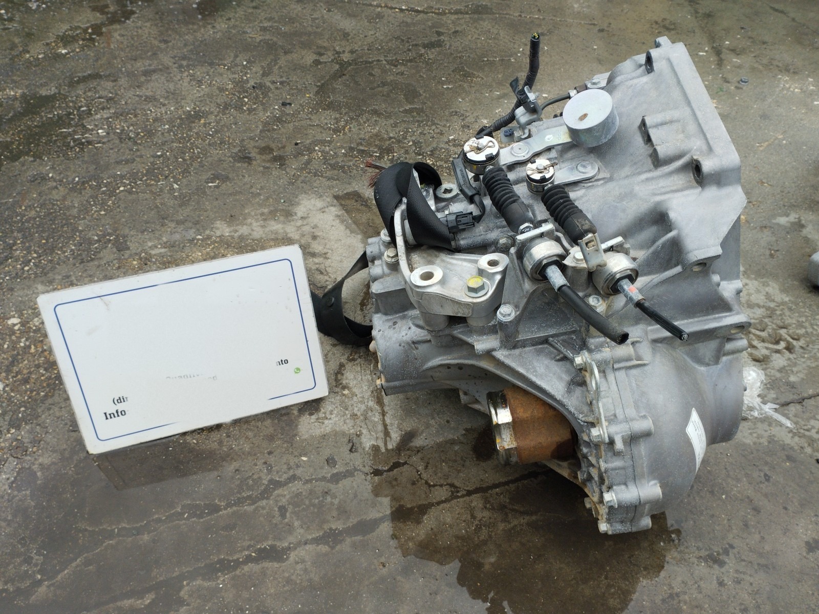 Miniatura 5