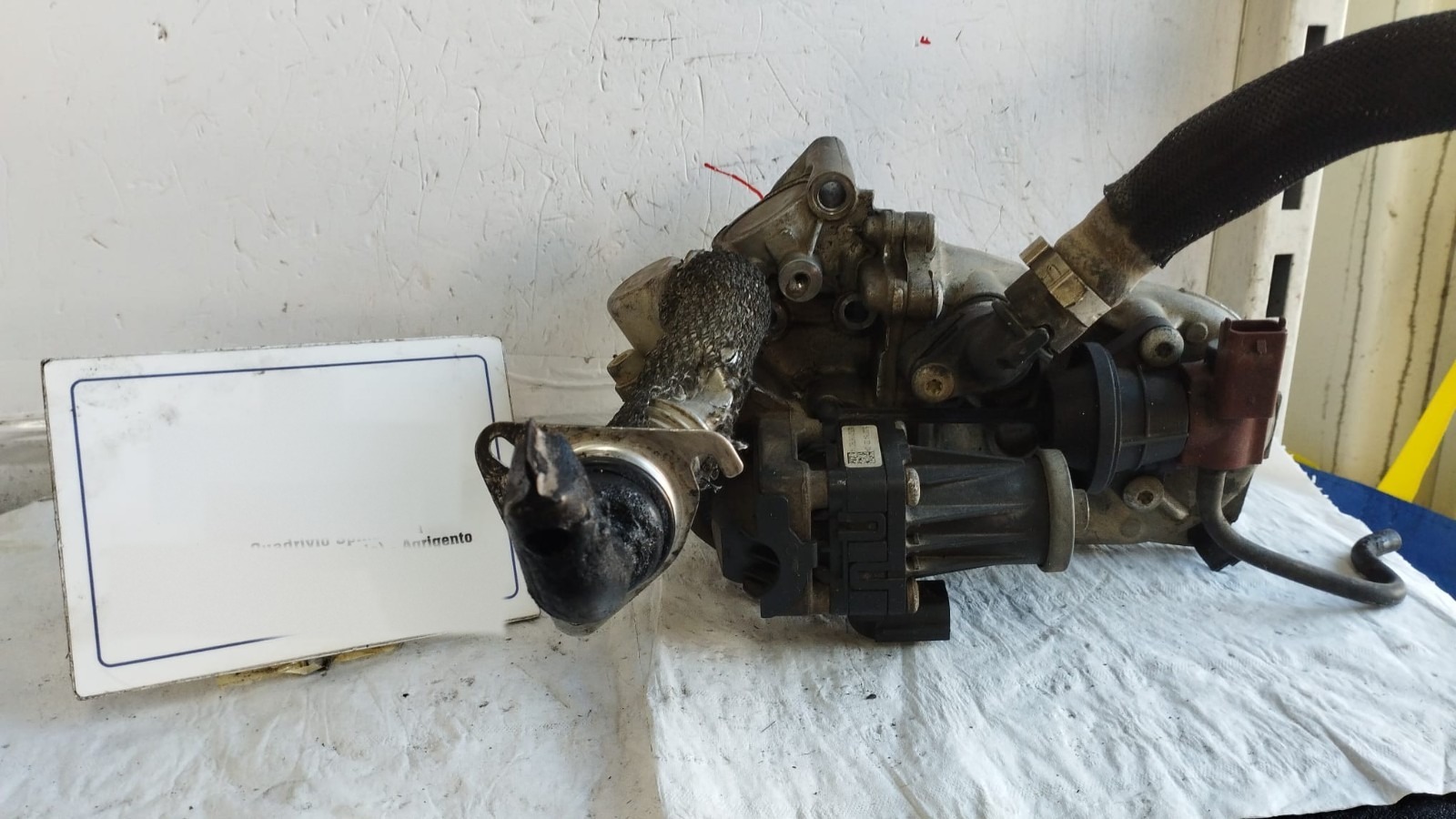 Valvola Egr Ford KA (CCU) (10/08>03/17<) Usato
